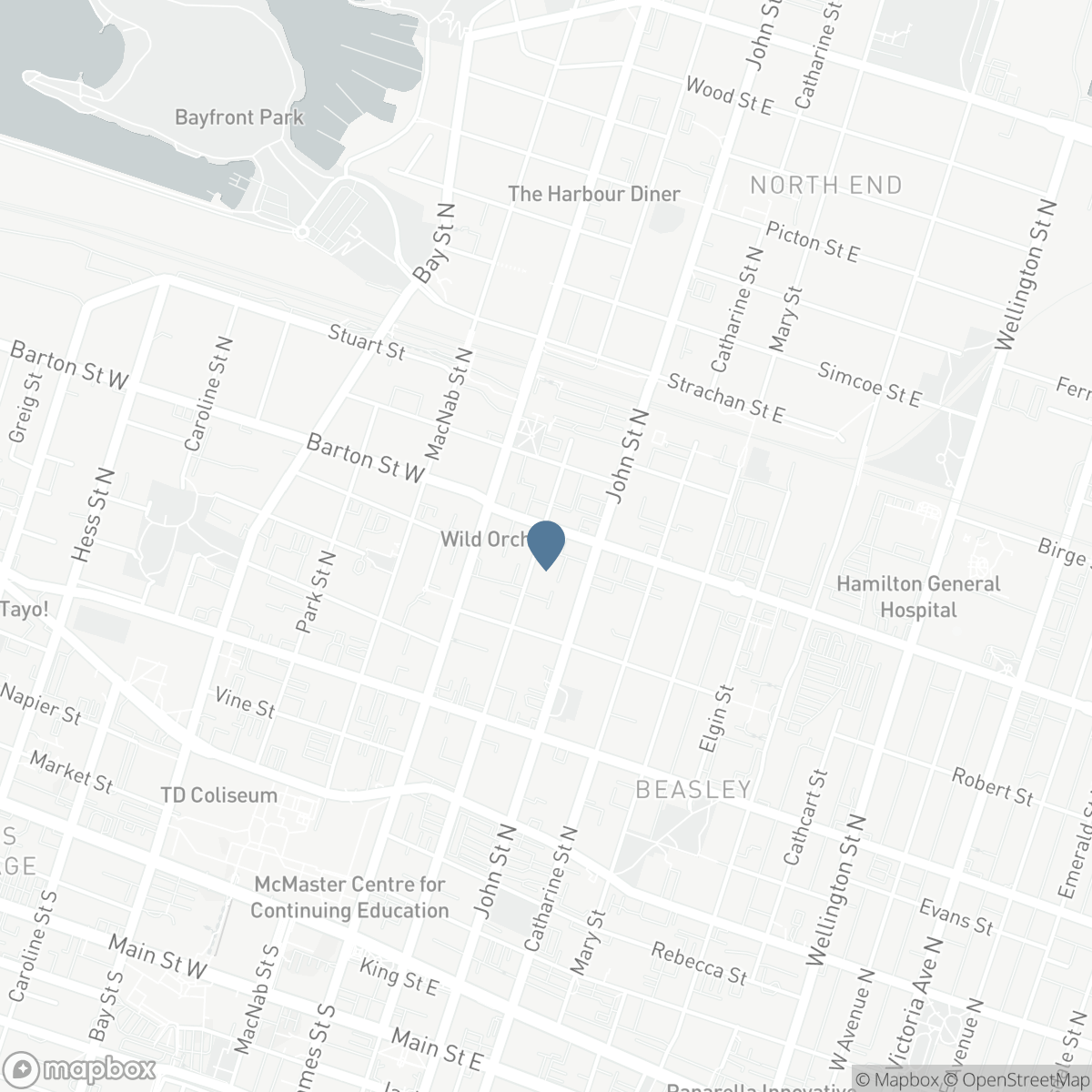 244 HUGHSON Street N, Hamilton, Ontario L8L 4M3